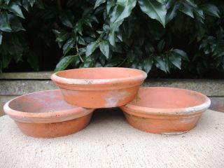 3 Old Vintage Terracotta Plant Pot Saucers Shallow Pots 8.  25 " Diameter (300m)