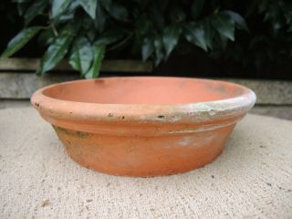 3 Old Vintage Terracotta Plant Pot Saucers Shallow Pots 8.  25 