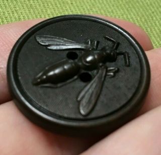 Antique hard rubber Goodyear ' s 1851 N.  R.  Co.  insect wasp bee 3