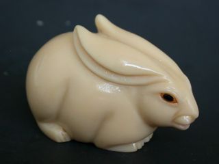 Japanese ivory color bone netsuke - A Large Rabbit with Long Ears sits quietly 2