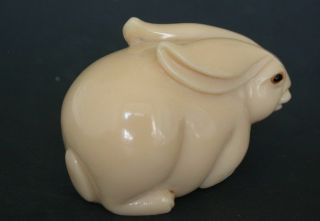 Japanese ivory color bone netsuke - A Large Rabbit with Long Ears sits quietly 3