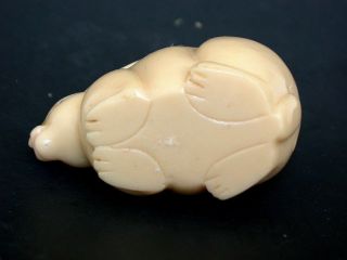 Japanese ivory color bone netsuke - A Large Rabbit with Long Ears sits quietly 4