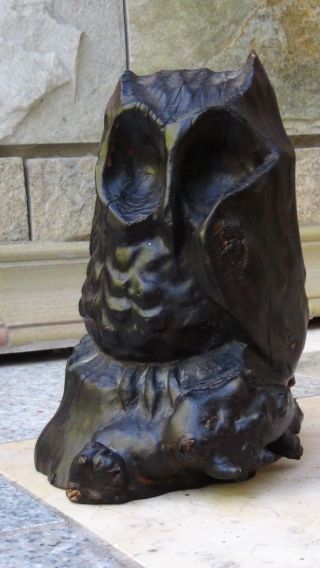 Antique Black Forest Wood Hand Carved Owl Statue Perched On A Stump