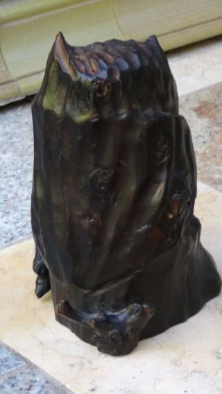 ANTIQUE BLACK FOREST WOOD HAND CARVED OWL STATUE PERCHED ON A STUMP 4