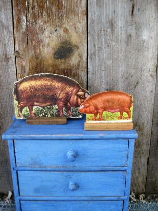 2 Sizes Antique Cardboard Farm Animal W Wood Stand Duroc Jersey Pig Freeshipping