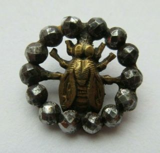 Darling Antique Vtg Victorian Metal Picture Button Fly Insect Cut Steel Rim (c)