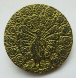 Fabulous Antique Vtg Paris Back Metal Picture Button Peacock Bird 1 " (c)