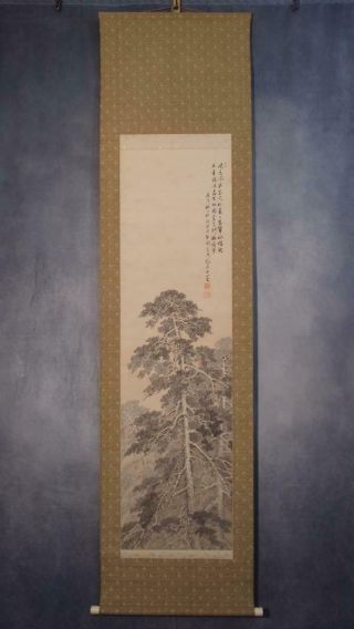 1757 Japanese Hanging Scroll: Pine Tree 2