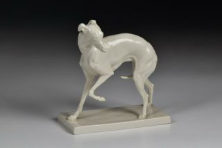 Nymphenburg Blanc De Chine Porcelain Whippet / Greyhound Figurine By P J Mene