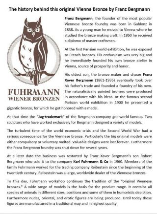 Franz Bergmann Vienna Brass OWL Cold Painted Bird Bergman Bronze Austria 7