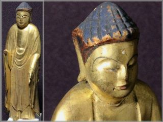 Wb64 Japanese Wooden Amitabha Statues 6.  49inch Amida Nyorai Buddhism