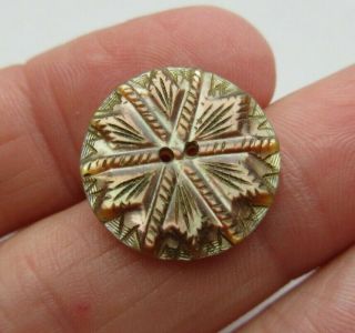 Gorgeous Antique Vtg Victorian Carved Mop Shell Button W/ Incised Design (a)
