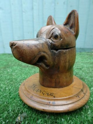 19thC BLACK FOREST WOODEN WALNUT DOGS HEAD CARVING,  HINGED INKWELL c1850s 4