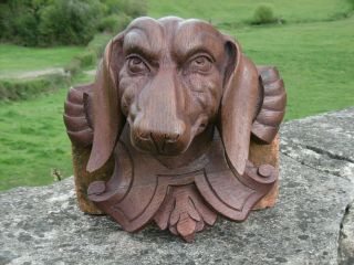 19thc Oak Carved Head Of A Hound Dog With Plaque