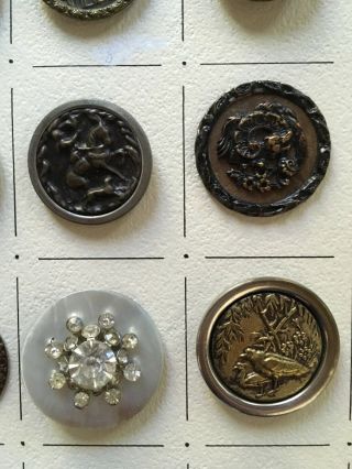 antique brass picture buttons incl.  rare mr samson mlle dalila monkey button 5