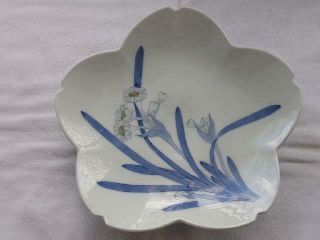 Antique Japanese Porcelain Plate By Tominaga Genroku 1880 - 1900 Handpainted 4231