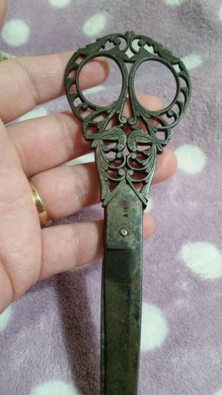 Late 19th Century Antique Terzano Sewing Scissors Campobasso,  Italy 11