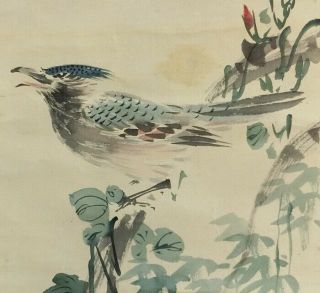 I473: Japanese Hanging Scroll.  Bird On Branch With Good Painting.