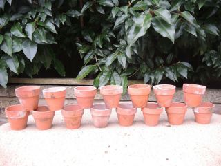 15 Small Vintage Terracotta Plant Pots 2 " Seedling Pots (300j)