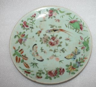 A C19th 8.  5 " Chinese Celadon Plate - Enamel Floral Birds Butterfly