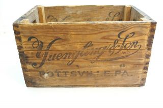 VINTAGE YUENGLING & SON WOODEN CRATE BOX 19 