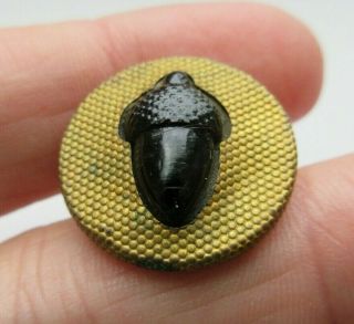 Fabulous Antique Victorian Black Glass Acorn In Metal Waiscoat Button 7/8 " (j)