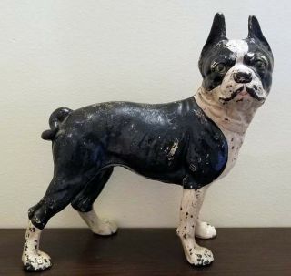 Vintage Cast Iron Boston Terrier Dog 10 Inches Tall