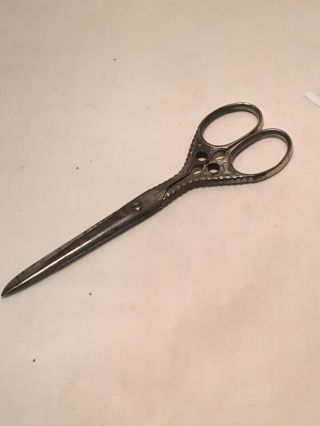 Antique Vintage Sewing - Victorian Scissors H.  Boker & Co.  Germany