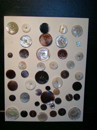 Antique Buttons - All Mother Of Pearl - M.  O.  P.  Buttons,  46 In All,  Carded