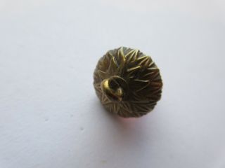 Magnificent RARE Antique Vtg Pink GLASS in Metal BUTTON Realistic ACORN (G) 7