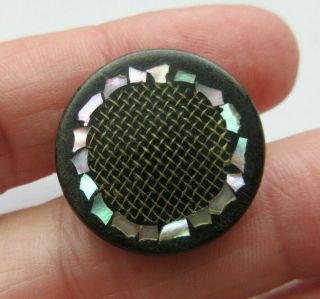 Rare Antique Vtg Carved Horn Inlay Button Inlaid Screen Mesh & Shell 7/8 " (d)
