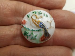 White Glass W/ Painted Peacock On A Branch Vintage Button 7/8 " Rs