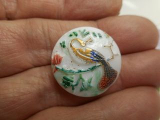 White Glass w/ Painted Peacock On a Branch Vintage Button 7/8 