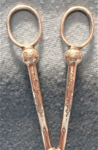 ABSOLUTELY BRILLIANT LATE 1800s ORNATE VICTORIAN SILVER PLATE GRAPE SHEARS 3