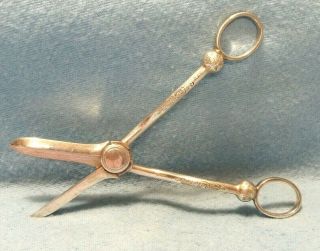 ABSOLUTELY BRILLIANT LATE 1800s ORNATE VICTORIAN SILVER PLATE GRAPE SHEARS 5