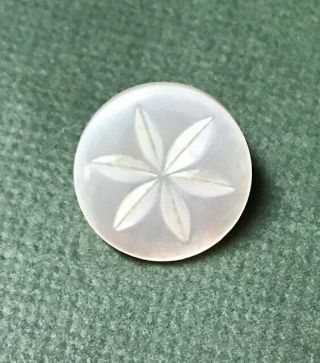 Antique Vintage Flower Etched Shell Mother Of Pearl Button 5903
