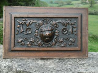 19thc Gothic Mahogany Panel With Lion Head Carved Centrally