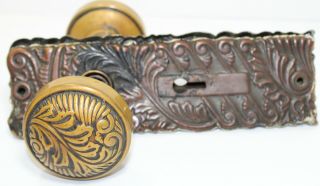 Antique Victorian Art Nouveau Bronze Brass Door Knob Backplate Set