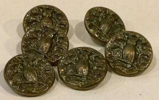 Set Of 6 Brass Antique Owl Picture Buttons With Silver Tinting