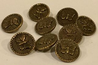 Set Of 9 Brass Antique Butterfly Picture Buttons.