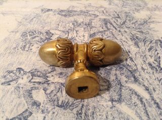 Vintage French Brass Acorn Door / Drawer Knob / Handle - Rare Find (3814) 7