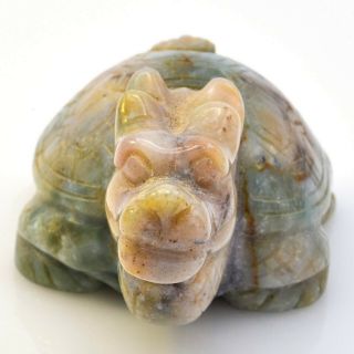 Vintage Carved Multi - Color Jade Dragon Tortoise Turtle Figurine 50.  1 Grams 2