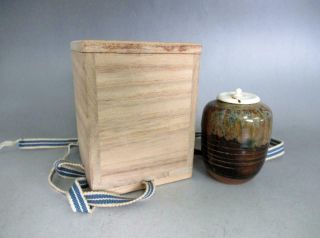 Japanese Seto Ware Tea Caddy Chaire W/sign & Box/ Katatsuki - Chaire/ 8939