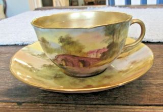 Antique Royal Doulton Aberfoyle Hand Painted Cup & Saucer Artist Signed C Hart