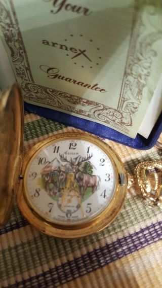 Vintage Arnex Pocket Watch,  Hunter Case,  17 Jewel,  Incabloc Swiss Made,  Runs,  Chain