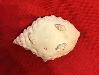 Porcelain Antique Sea Shell with Hand Painted Iris Inside 4