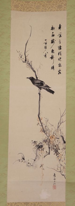 Japanese Hanging Scroll Art Painting " Bird And Flower " Asian Antique E7326