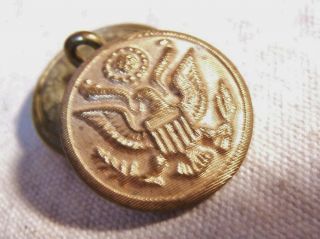 2 Antique Vintage Brass US Eagle Military Buttons c1900 Scovill Mfg Co Waterbury 4