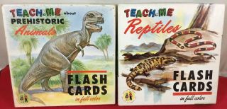 Vintage Teach Me Reptiles & Dinosaurs Prehistoric Animals Flash Cards Complete