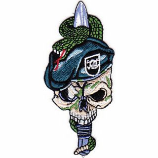 Special Forces Skull With Viper And Black Beret Patch